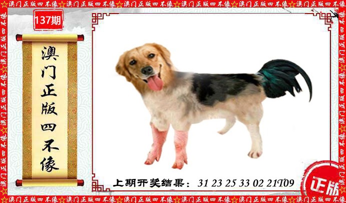 白小组一肖一码100%准确更新时间(白小姐一肖一码 中特期期准资料白小姐白白小)